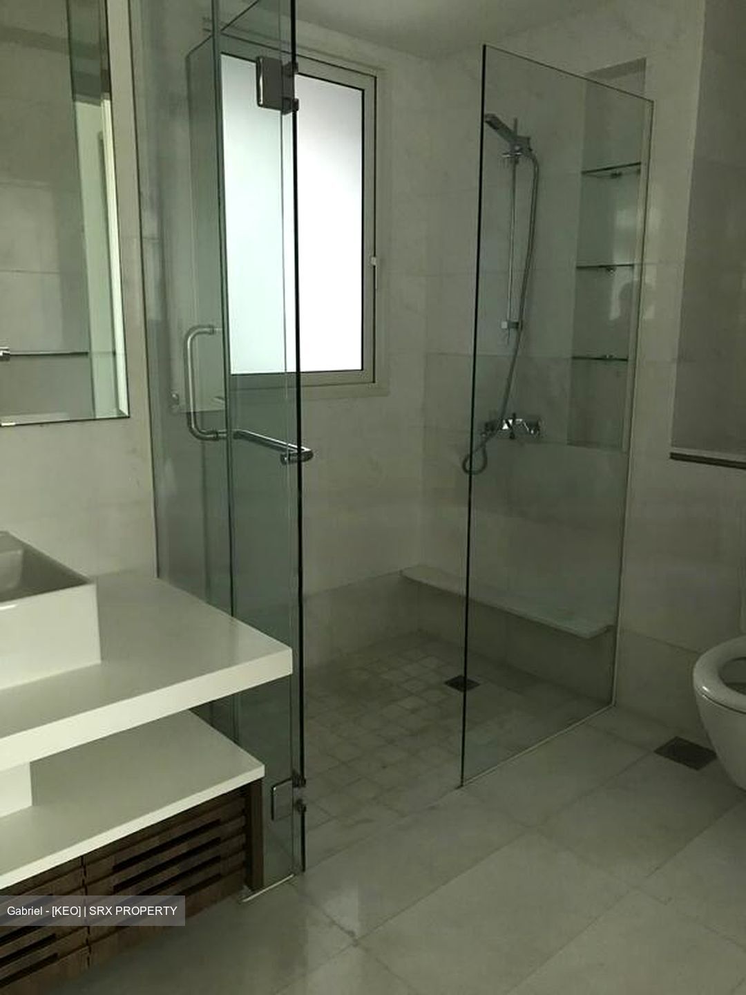 Suites At Orchard (D9), Apartment #445531541